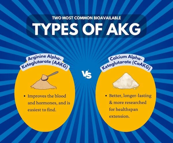 4 Best AKG Supplements: Benefits, Dosage, & Review of Alpha-Ketoglutarate