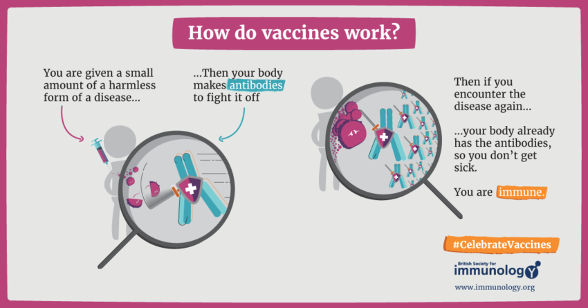 A Shot Towards Ending a Pandemic: Vaccines Explained