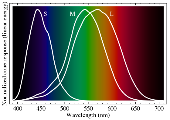 Genetics and Coloration Blindness