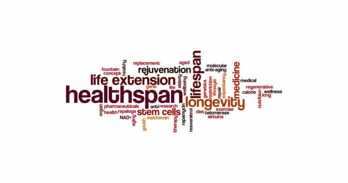 Healthspan vs Lifespan: Which One is Better?