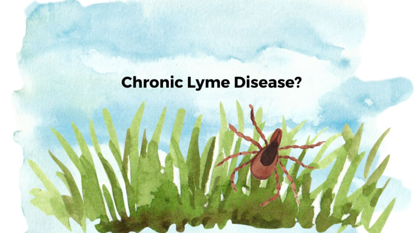 Chronic Lyme: Genetic Susceptibility