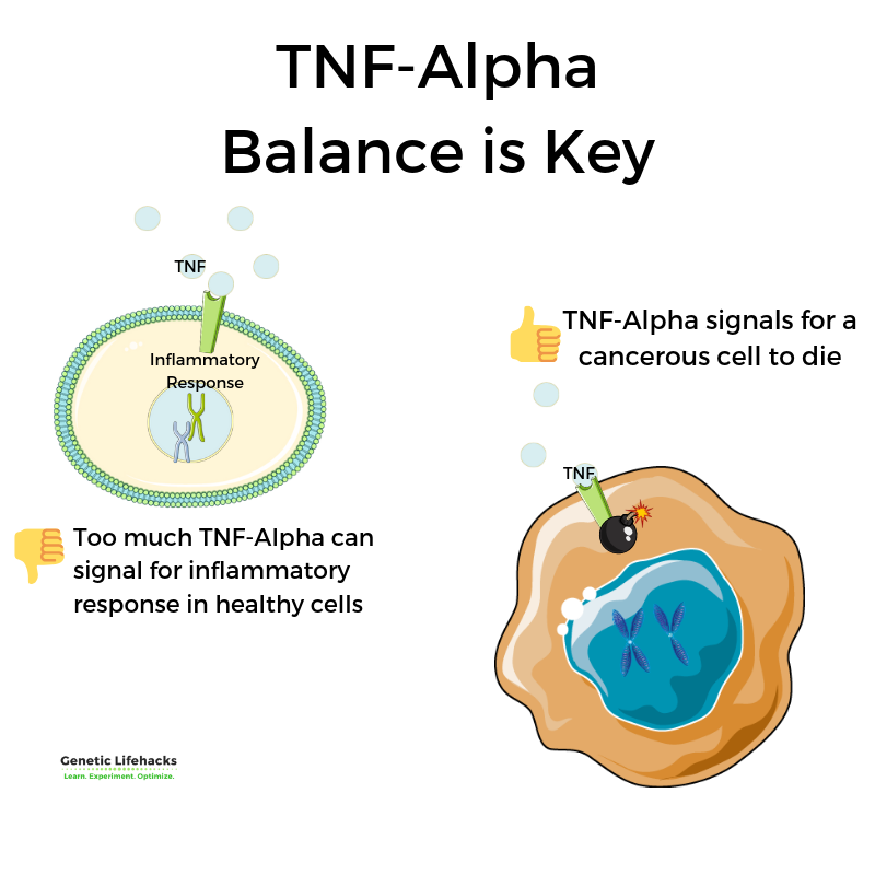 TNF-alpha: Inflammation, Chronic Diseases, and Genetic Susceptibility