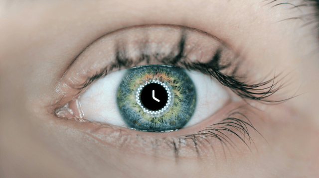 EyeAge – A New Biological Clock. Podcast with Pankaj Kapahi, PhD