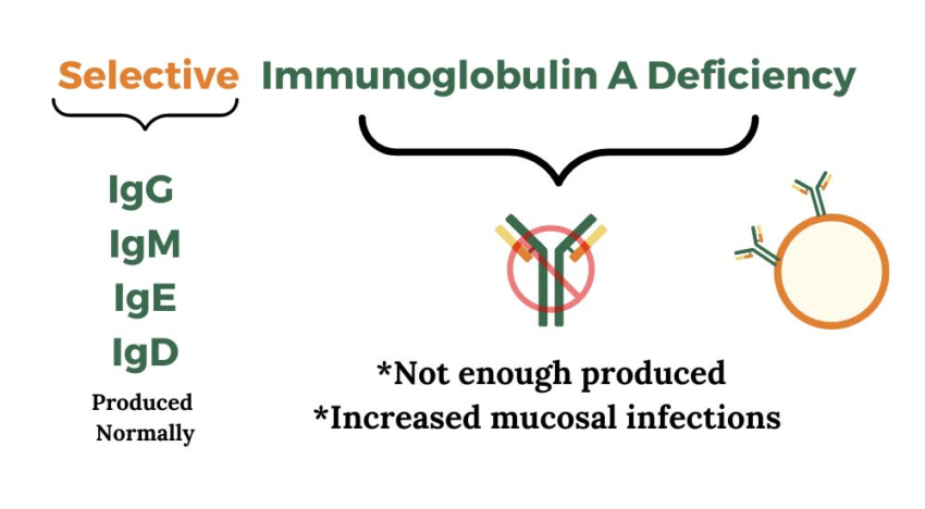 Low IgA and Selective IgA Deficiency