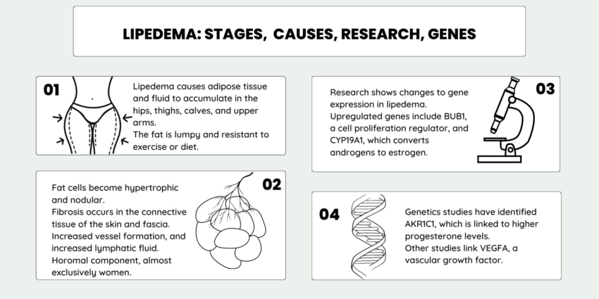 Lipedema: Genes, Root Causes, Possible Solutions