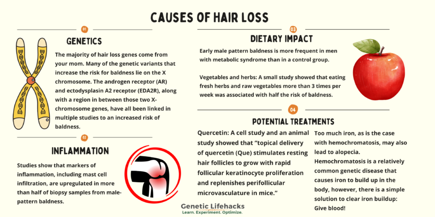 Will you go bald? Genetics and hair loss