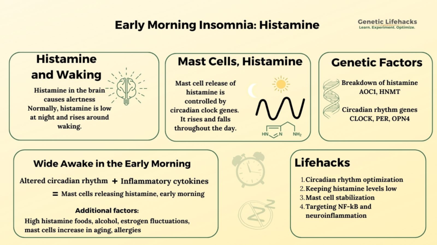 Histamine, Mast Cell Activation, and Early Morning Insomnia