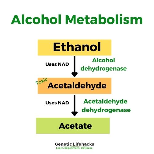 Alcohol & Histamine Intolerance: Understanding the Connection