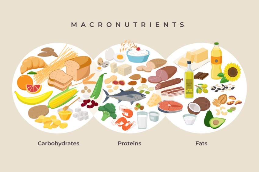 The Fourth Macro?! How Many Calories Are in Alcohol