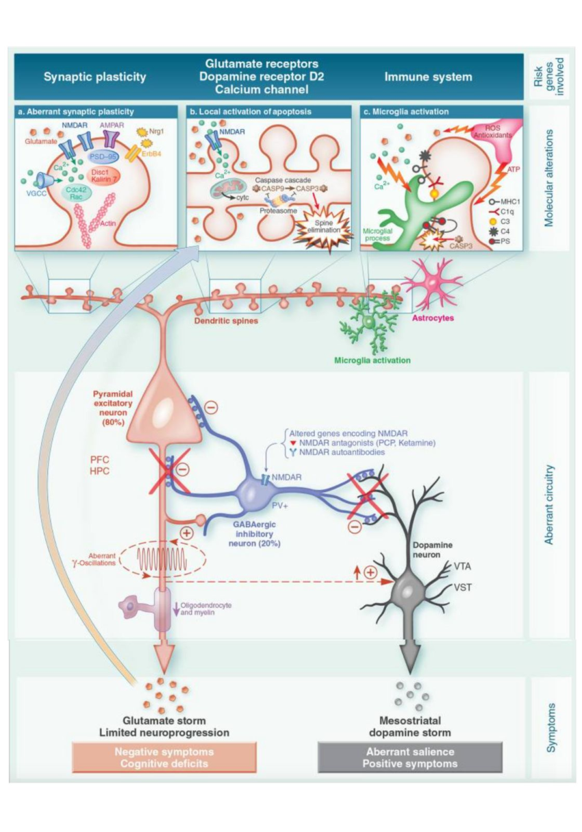 Schizophrenia: Genetic and Environmental Factors