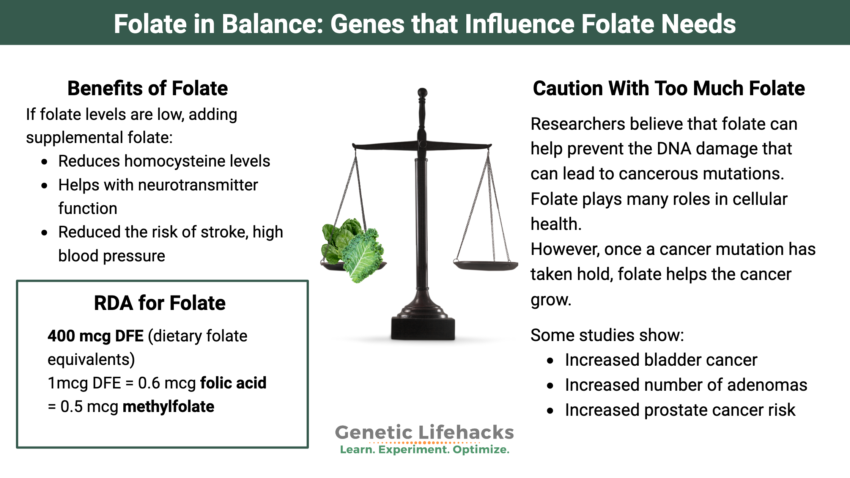 Are You Getting Too Much Folate?