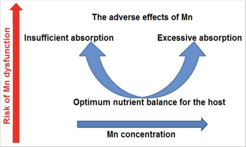 Manganese: Genetic Interactions, Diet, and Supplements