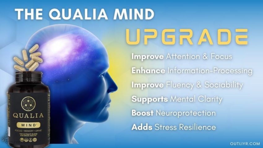 Qualia Mind 2.0 Review: Ultimate New Nootropic to Unleash Your Brain’s Potential?