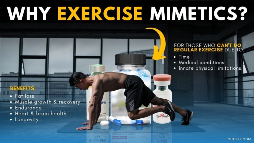 15+ Potent Exercise Mimetics: A Shortcut to Optimal Fitness?